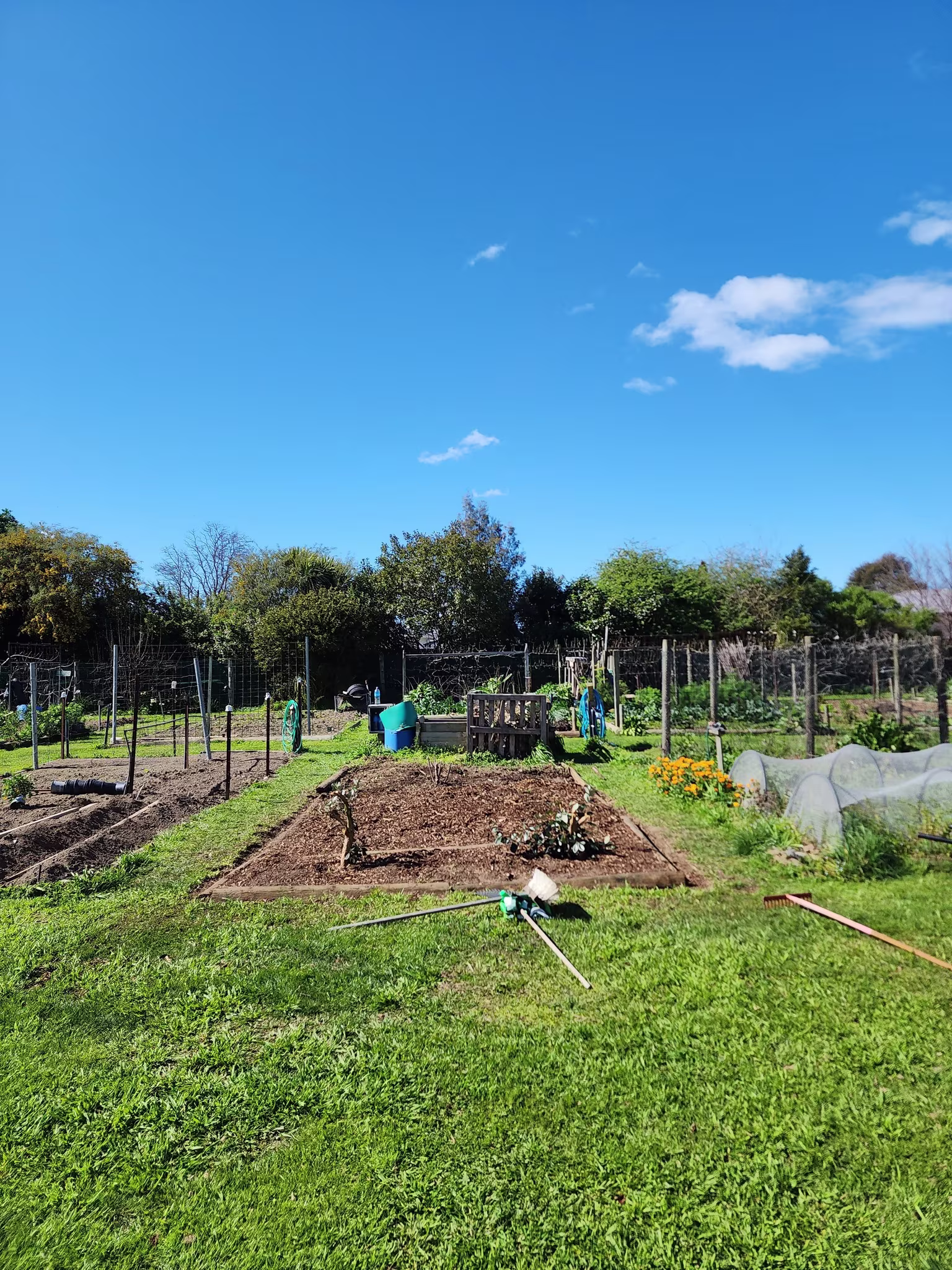 ElderLink's new garden plot at the Blenheim Community Gardens